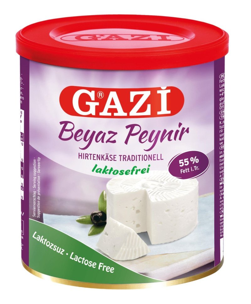 GAZI SANS LACTOSE FROMAGE BLANC 55% 6X500GR